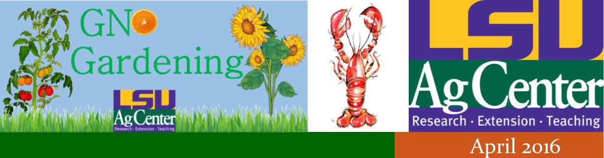 GNO Gardening - April 2016
